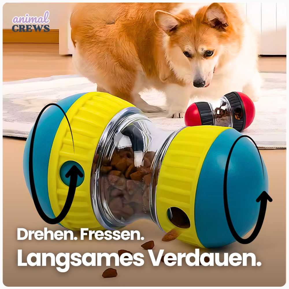Intelligentes Futterspielzeug für Hunde – Interaktiver Futterspender zur gesunden Fütterung