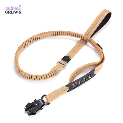 2-in-1 Bungee-Hundeleine – Reflektierend, stoßdämpfend & mit Auto-Gurtfunktion