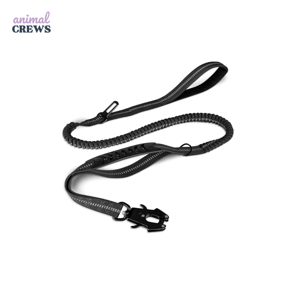 2-in-1 Bungee-Hundeleine – Reflektierend, stoßdämpfend & mit Auto-Gurtfunktion