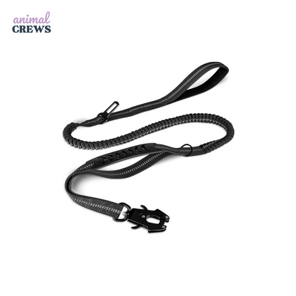 2-in-1 Bungee-Hundeleine – Reflektierend, stoßdämpfend & mit Auto-Gurtfunktion