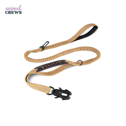 2-in-1 Bungee-Hundeleine – Reflektierend, stoßdämpfend & mit Auto-Gurtfunktion