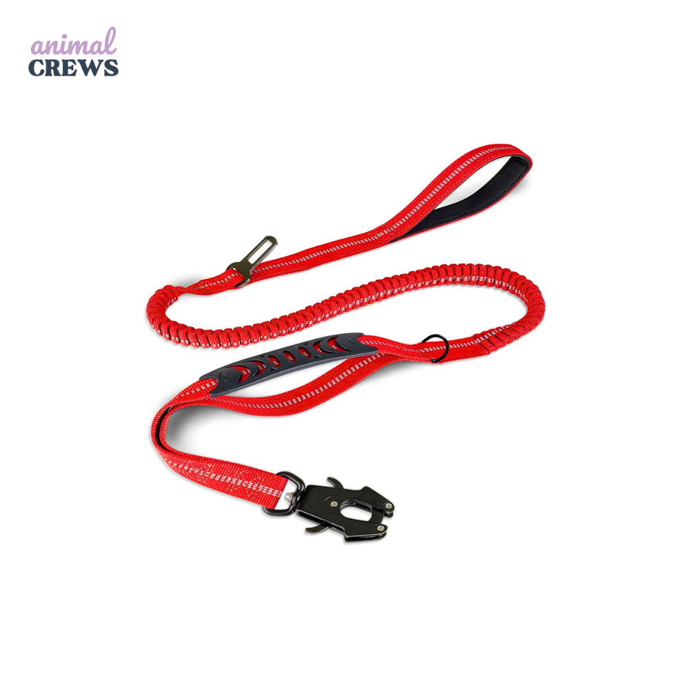 2-in-1 Bungee-Hundeleine – Reflektierend, stoßdämpfend & mit Auto-Gurtfunktion
