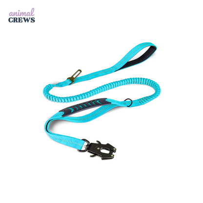 2-in-1 Bungee-Hundeleine – Reflektierend, stoßdämpfend & mit Auto-Gurtfunktion