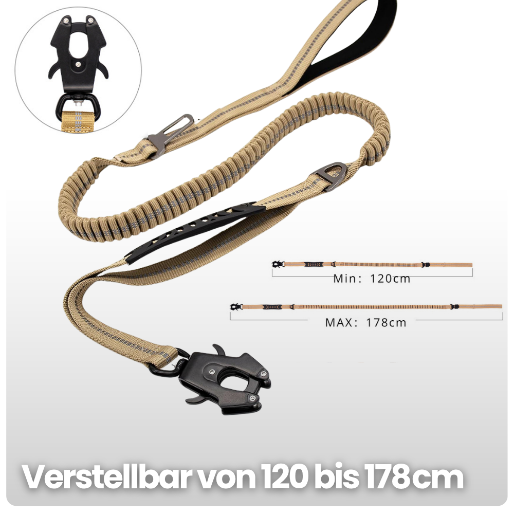 2-in-1 Bungee-Hundeleine – Reflektierend, stoßdämpfend & mit Auto-Gurtfunktion