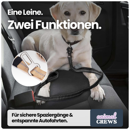 2-in-1 Bungee-Hundeleine – Reflektierend, stoßdämpfend & mit Auto-Gurtfunktion