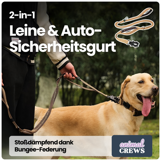 2-in-1 Bungee-Hundeleine – Reflektierend, stoßdämpfend & mit Auto-Gurtfunktion
