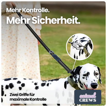 2-in-1 Bungee-Hundeleine – Reflektierend, stoßdämpfend & mit Auto-Gurtfunktion