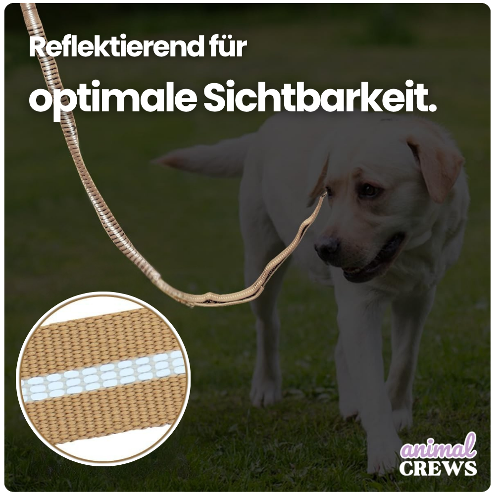 2-in-1 Bungee-Hundeleine – Reflektierend, stoßdämpfend & mit Auto-Gurtfunktion