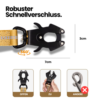 2-in-1 Bungee-Hundeleine – Reflektierend, stoßdämpfend & mit Auto-Gurtfunktion