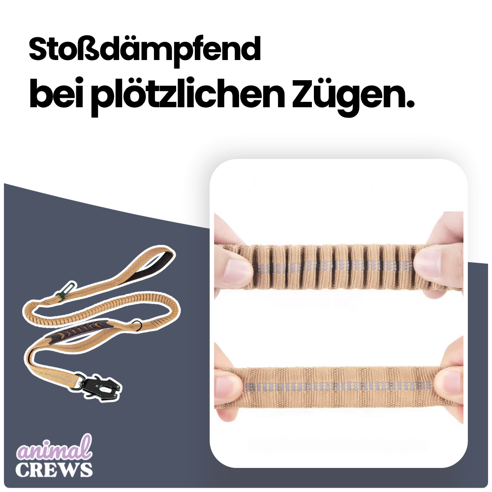 2-in-1 Bungee-Hundeleine – Reflektierend, stoßdämpfend & mit Auto-Gurtfunktion