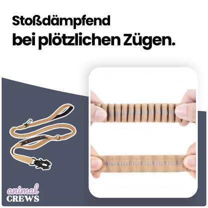 2-in-1 Bungee-Hundeleine – Reflektierend, stoßdämpfend & mit Auto-Gurtfunktion