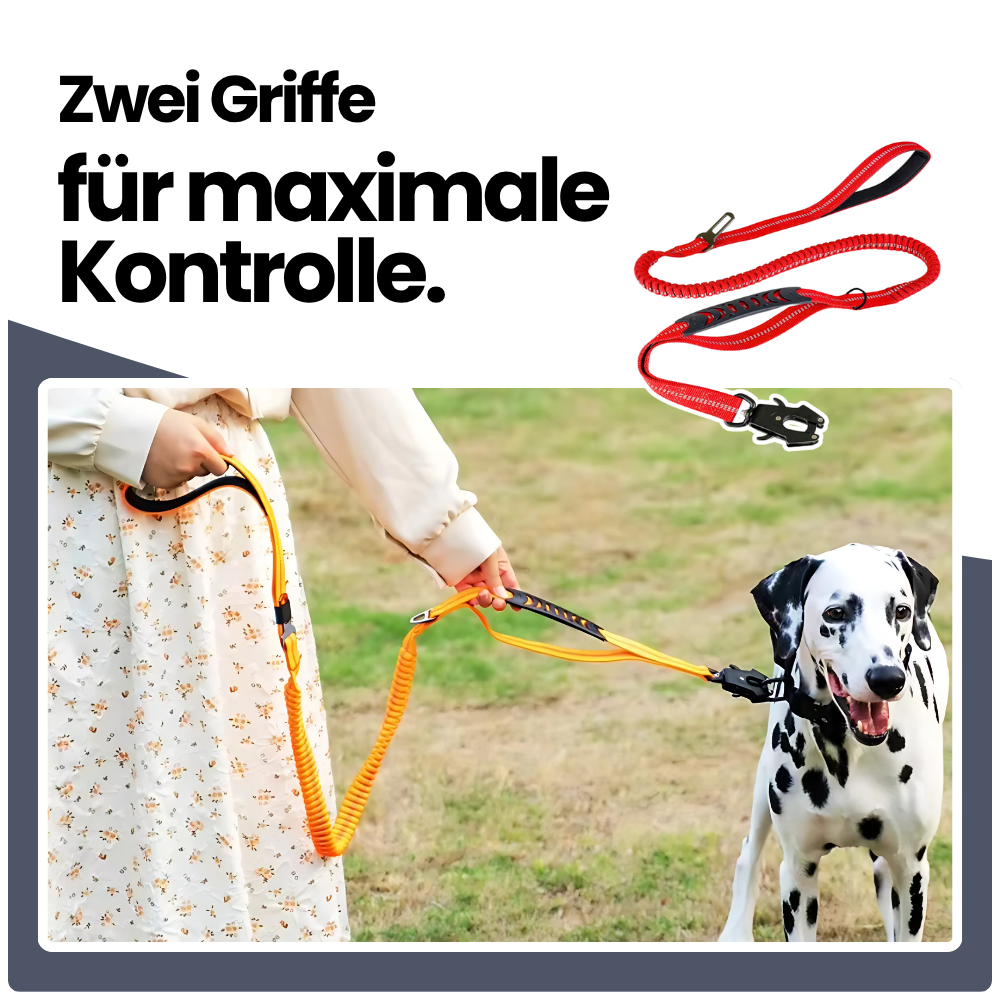 2-in-1 Bungee-Hundeleine – Reflektierend, stoßdämpfend & mit Auto-Gurtfunktion