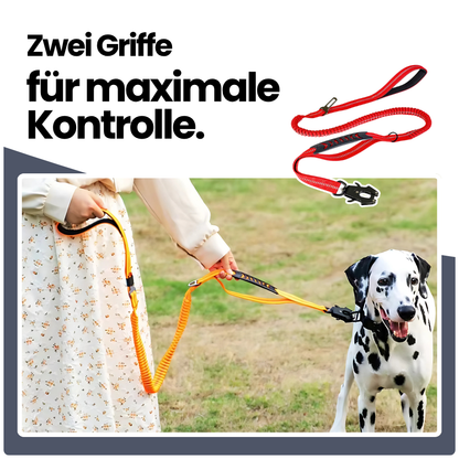 2-in-1 Bungee-Hundeleine – Reflektierend, stoßdämpfend & mit Auto-Gurtfunktion