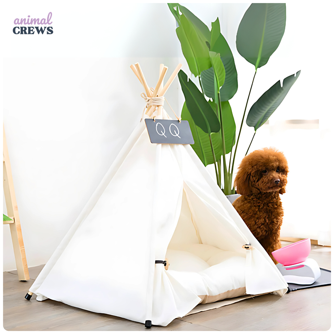 Tipi-Zelt für Katzen & kleine Hunde – Stilvolle Kuschelhöhle mit Kissen & Namensschild