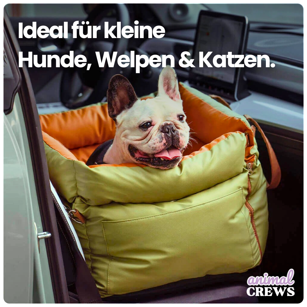 Autositz für Hunde & Katzen – Für sicheres & entspanntes Reisen mit Hund & Katze