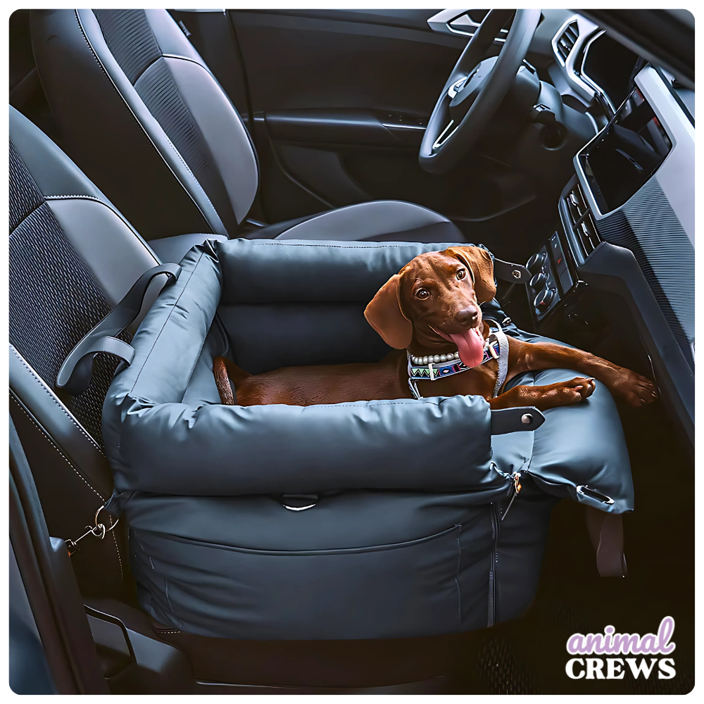 Autositz für Hunde & Katzen – Für sicheres & entspanntes Reisen mit Hund & Katze
