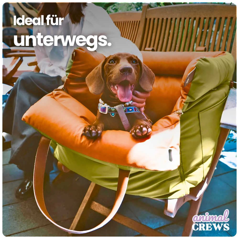Autositz für Hunde & Katzen – Für sicheres & entspanntes Reisen mit Hund & Katze