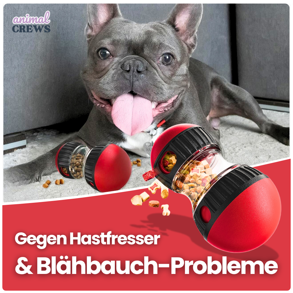 Intelligentes Futterspielzeug für Hunde – Interaktiver Futterspender zur gesunden Fütterung