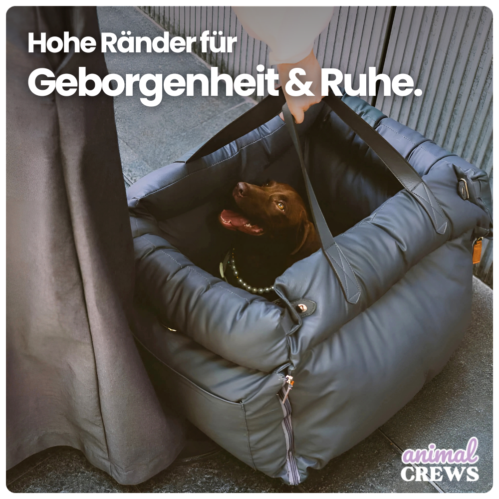Autositz für Hunde & Katzen – Für sicheres & entspanntes Reisen mit Hund & Katze