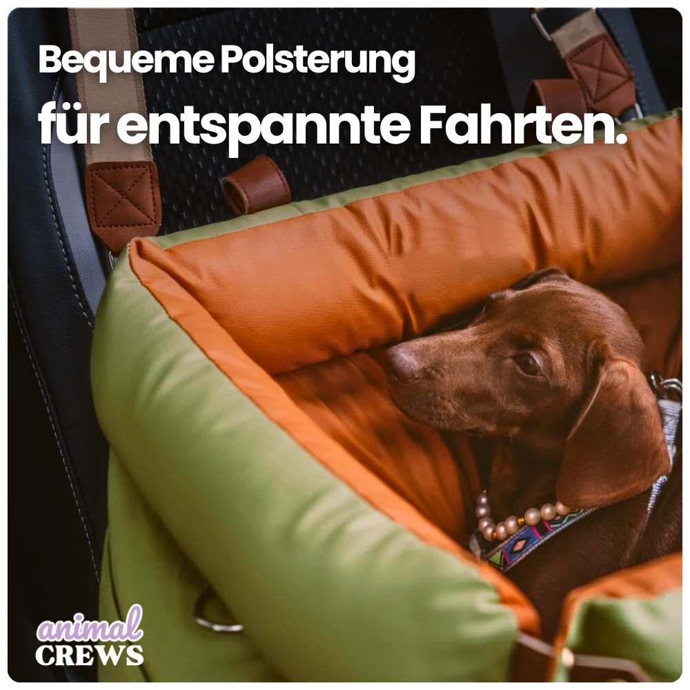 Autositz für Hunde & Katzen – Für sicheres & entspanntes Reisen mit Hund & Katze