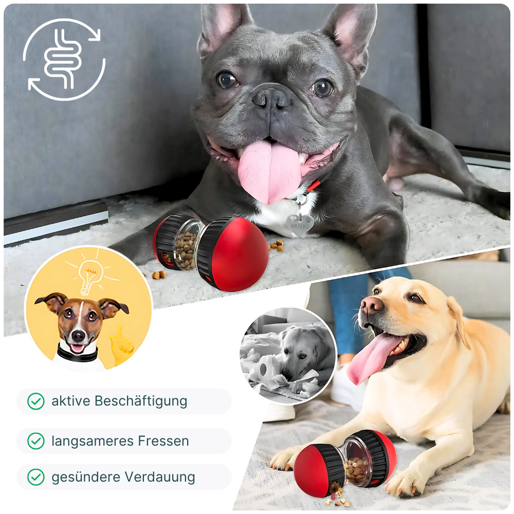 Intelligentes Futterspielzeug für Hunde – Interaktiver Futterspender zur gesunden Fütterung
